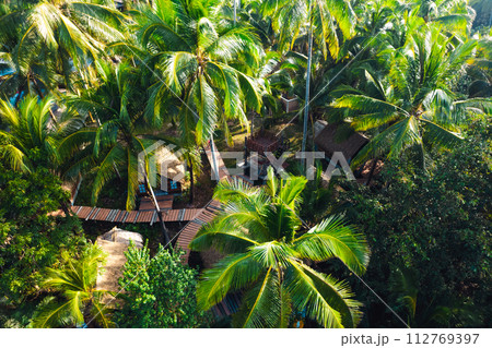 High angle coconut tree plantation on a tropical island 112769397