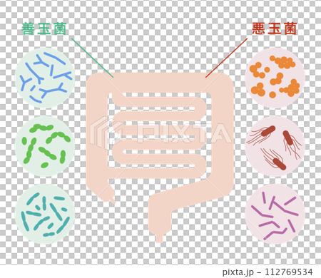 腸内細菌による医療イラスト　善玉菌　悪玉菌 112769534