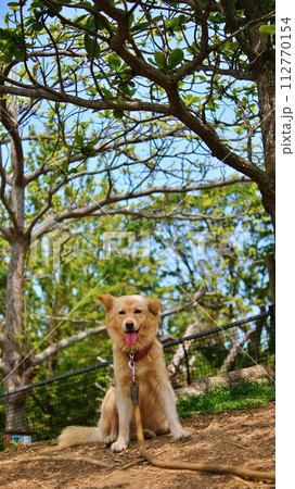 ネオパークオキナワの風景 112770154