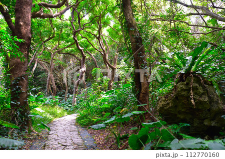 斎場御嶽　参道 112770160