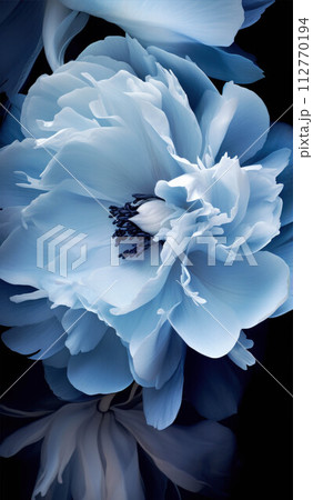 Gentle blue background with peony petals. Beautiful flower close up. Gentle blue background with peony petals. Beautiful flower close up. 112770194