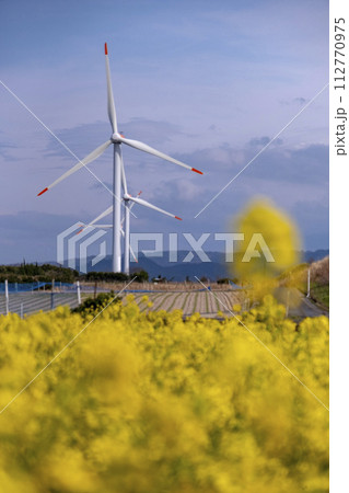 青空と菜の花に映える風力発電機 (鳥取県北栄町) 青空と菜の花に映える風力発電機 (鳥取県北栄町) 112770975