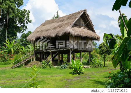Elevated bamboo stilt house surrounded by lush greenery in a rural tropical setting 112771022