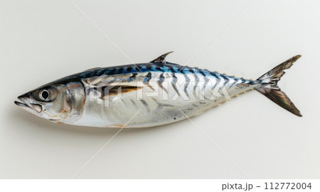 Whole Mackerel Fish Isolated on White Background Whole Mackerel Fish Isolated on White Background 112772004