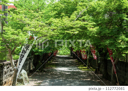 新緑に包まれる寺の参道 112772081
