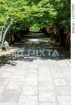 新緑に包まれる寺の参道 112772082