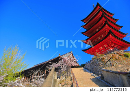 【広島県】満開の桜と厳島神社の五重塔と豊国神社（宮島） 112772316
