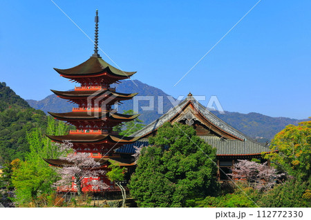 【広島県】満開の桜と厳島神社の五重塔と豊国神社(宮島) 【広島県】満開の桜と厳島神社の五重塔と豊国神社(宮島) 112772330