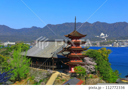 【広島県】満開の桜と厳島神社の五重塔と豊国神社（宮島） 112772336