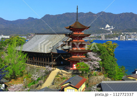 【広島県】満開の桜と厳島神社の五重塔と豊国神社（宮島） 112772337