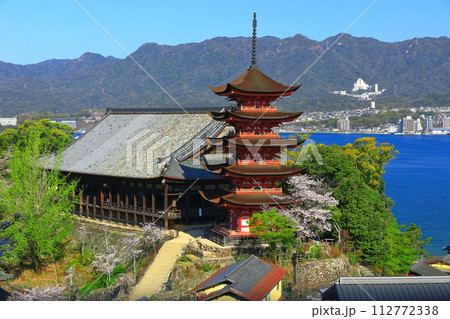 【広島県】満開の桜と厳島神社の五重塔と豊国神社(宮島) 【広島県】満開の桜と厳島神社の五重塔と豊国神社(宮島) 112772338
