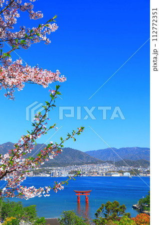 【広島県】満開の桜と厳島神社大鳥居(宮島) 【広島県】満開の桜と厳島神社大鳥居(宮島) 112772351