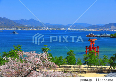 【広島県】満開の桜と厳島神社大鳥居(宮島) 【広島県】満開の桜と厳島神社大鳥居(宮島) 112772368
