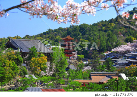 【広島県】満開の桜と厳島神社の五重塔と豊国神社（宮島） 112772370