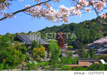 【広島県】満開の桜と厳島神社の五重塔と豊国神社(宮島) 【広島県】満開の桜と厳島神社の五重塔と豊国神社(宮島) 112772371