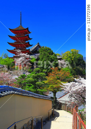【広島県】満開の桜と厳島神社の五重塔と豊国神社（宮島） 112772396