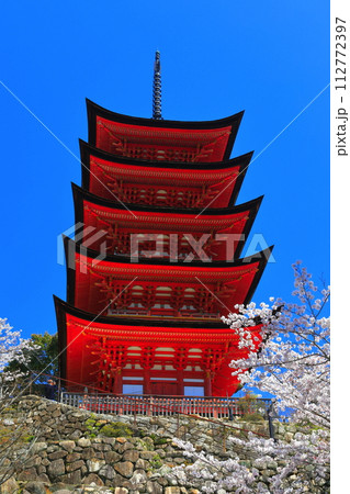 【広島県】満開の桜と厳島神社の五重塔（宮島） 112772397
