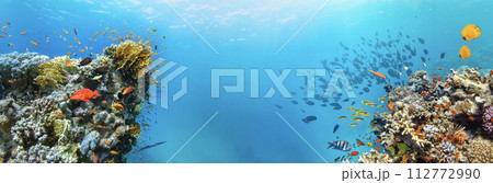 Underwater Tropical Corals Reef with colorful sea fish. Marine life sea world. Tropical colourful underwater seascape. Underwater Tropical Corals Reef with colorful sea fish. Marine life sea world. Tropical colourful underwater seascape. 112772990