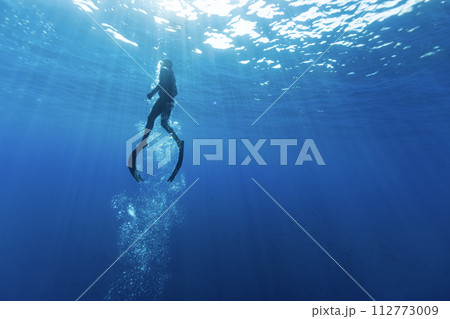 Freediver Swimming in Deep Sea With Sunrays. Young Man Diver Eploring Sea Life. 112773009