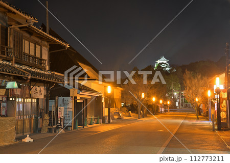 《愛知県》ライトアップされた犬山城と犬山城下町の夜景 112773211