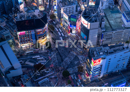 《東京都》渋谷の中心を見下ろす・都市夜景 112773327