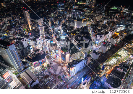 《東京都》渋谷の中心を見下ろす・都市夜景 112773508