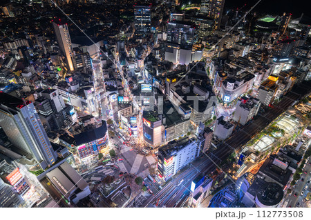《東京都》渋谷の中心を見下ろす・都市夜景 《東京都》渋谷の中心を見下ろす・都市夜景 112773508