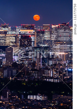 《東京都》東京都市夜景・月の美しい夜 112773750