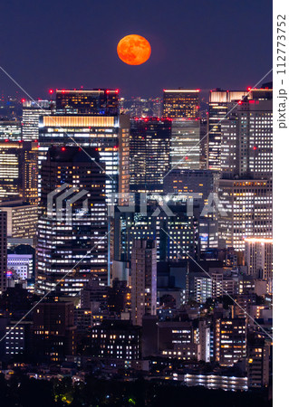《東京都》東京都市夜景・月の美しい夜 112773752
