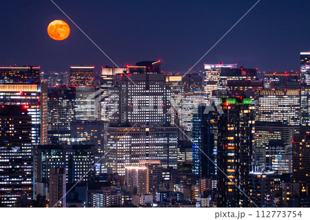 《東京都》東京都市夜景・月の美しい夜 112773754