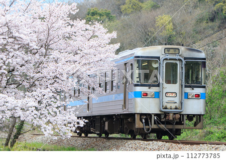 桜咲く土讃線を行く1000形気動車(JR四国) 桜咲く土讃線を行く1000形気動車(JR四国) 112773785