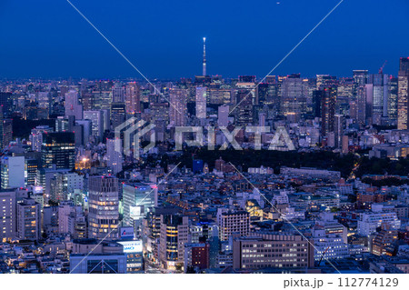 《東京都》東京スカイライン・都市夜景 《東京都》東京スカイライン・都市夜景 112774129