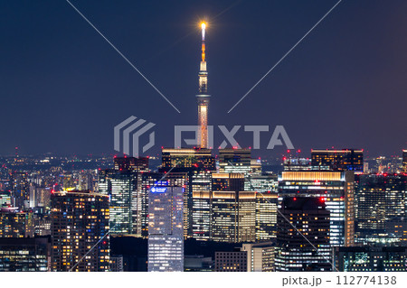 《東京都》東京スカイライン・都市夜景 112774138