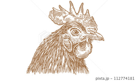 Rooster, chicken, hen head. Vintage retro print Rooster, chicken, hen head. Vintage retro print 112774181