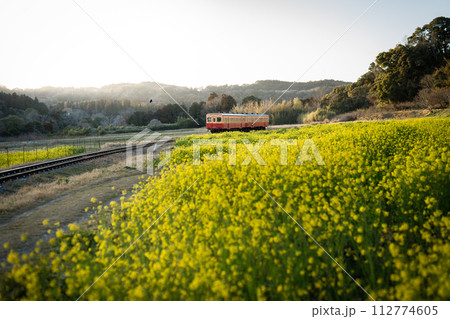 石神の菜の花畑と小湊鉄道・千葉県 石神の菜の花畑と小湊鉄道・千葉県 112774605