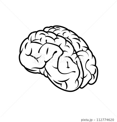 AIテクノロジーや医療系で使える脳の線画アイコン。リアルな頭脳のベクターイラスト。 112774620