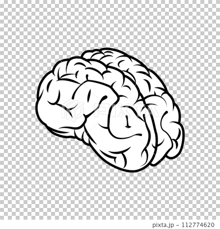AIテクノロジーや医療系で使える脳の線画アイコン。リアルな頭脳のベクターイラスト。 112774620