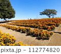 マリーゴールドの咲き誇る休日の公園 112774820
