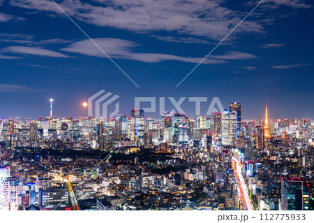 《東京都》東京スカイライン・都市夜景 112775933