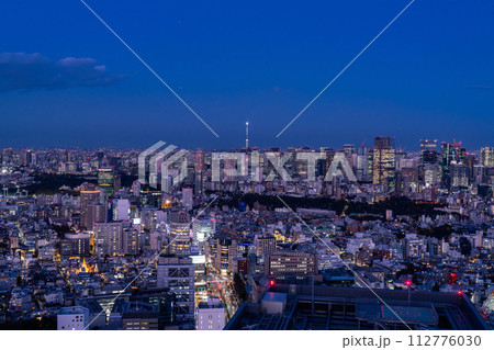《東京都》東京スカイライン・都市夜景 112776030