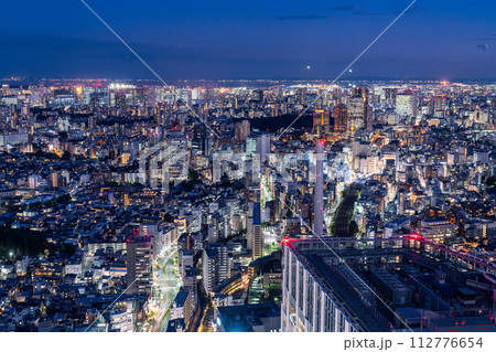 《東京都》東京スカイライン・都市夜景 112776654