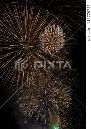 夜空に刹那の光の花を咲かせる花火 112776735