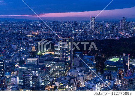 《東京都》東京スカイライン・都市夜景 112776898