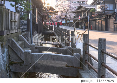 230410中橋桜z080 230410中橋桜z080 112777029