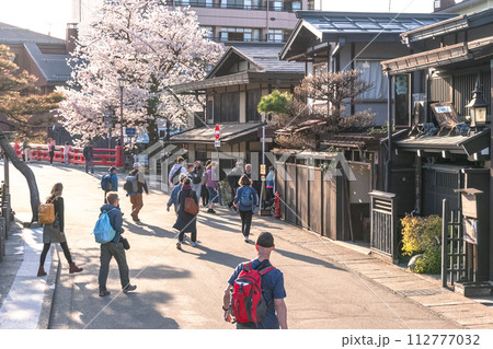 230410中橋桜z020 112777032