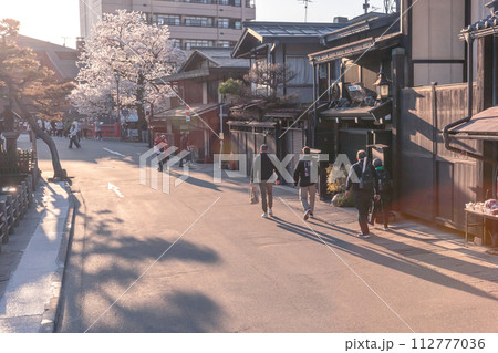230409中橋桜z296 230409中橋桜z296 112777036