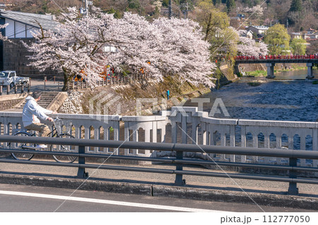 230409中橋桜z102 112777050