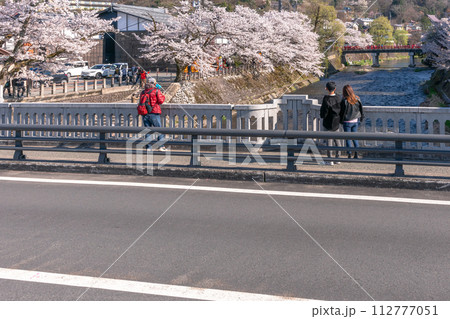 230409中橋桜z093 112777051