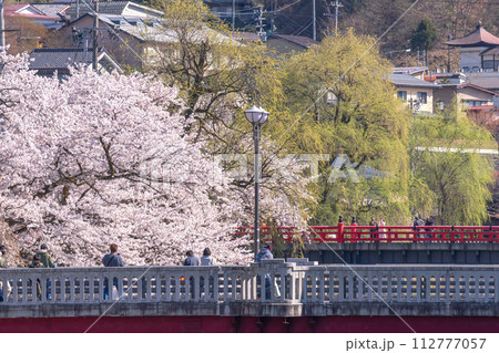 230409中橋桜g018 230409中橋桜g018 112777057
