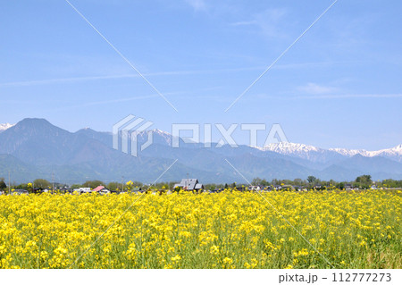 長野の菜の花 112777273